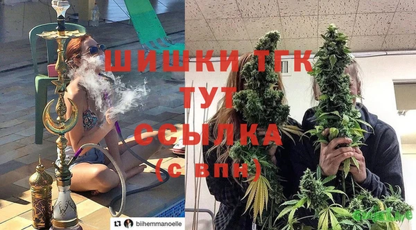 прущая мука Абаза
