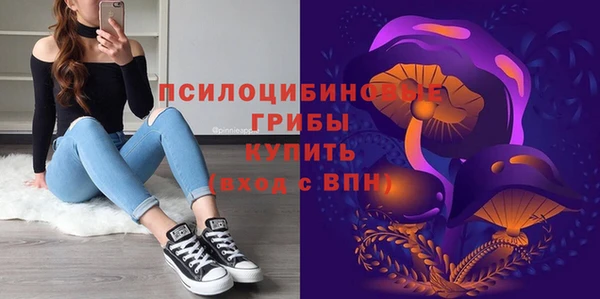 прущая мука Абаза